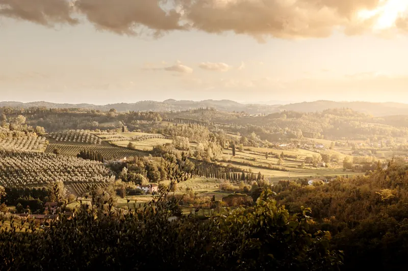 Campagna al tramonto