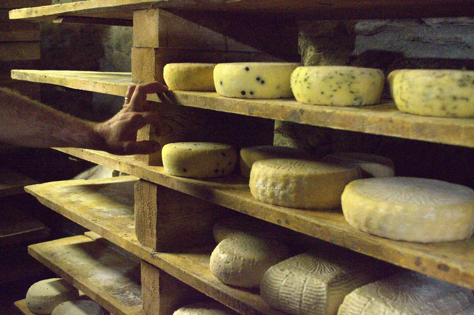 Cantina di stagionatura di formaggi artigianali