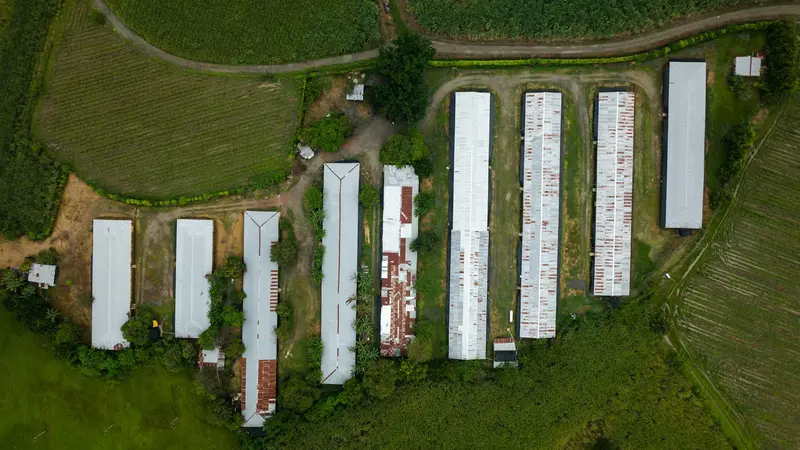 Vista dall'alto di un'azienda agricola con capannoni e campi