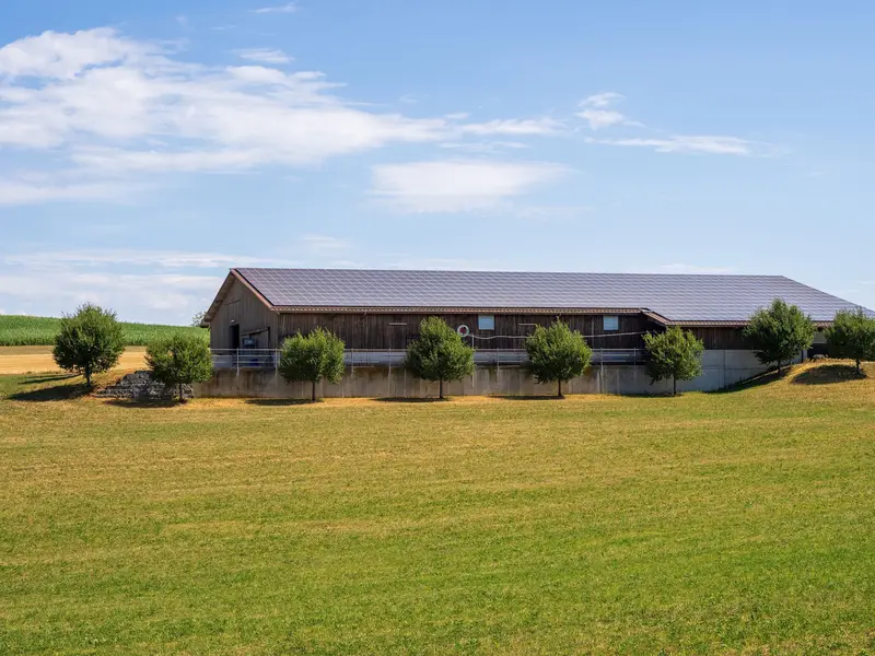 Stalla con il tetto coperto di pannelli fotovoltaici